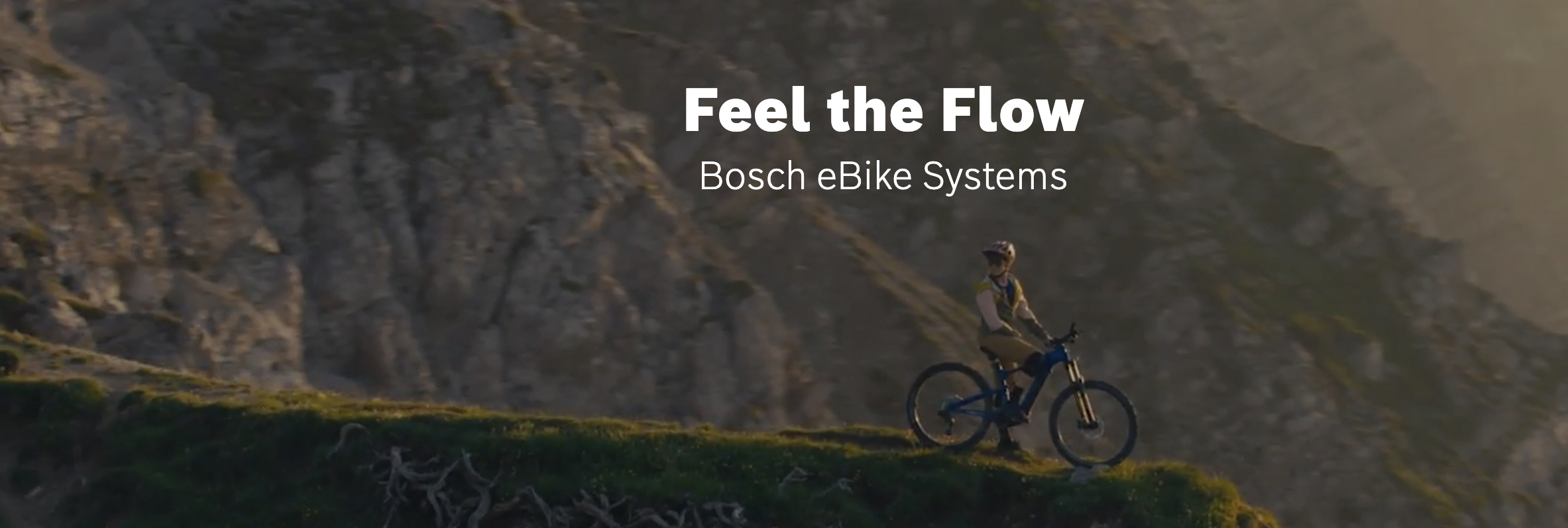 bosch electric bike conversion kit